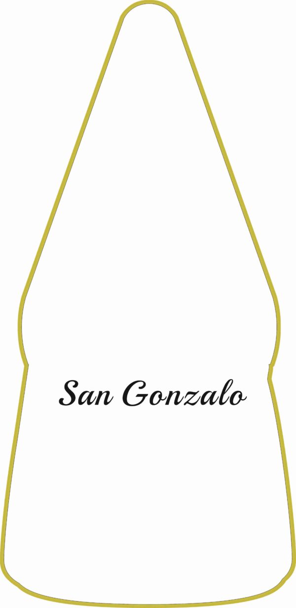 cojin san gonzalo