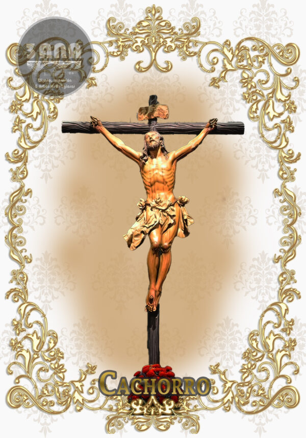 lona pvc cachorro Sevilla